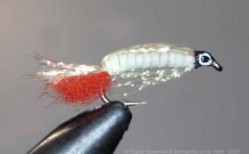 Doll fly tied with a luminous body made from Aurora skirt. These thin soft plastic strips are wrapped around the body and tied off. They hold the torchlight very well and glow brightly.