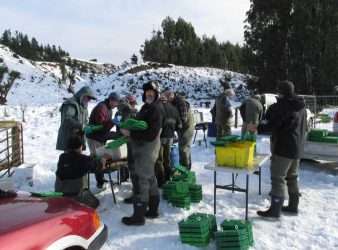 Prep of Scotty boxes in the snow. Photograph courtesy of Larry Burke.